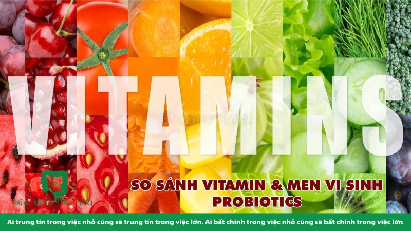SO SÁNH VITAMIN & MEN VI SINH PROBIOTICS 