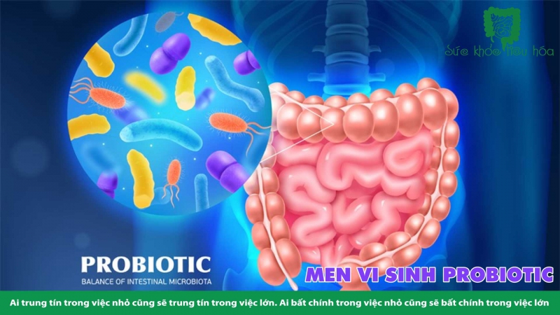 SO SÁNH VITAMIN & MEN VI SINH PROBIOTICS 