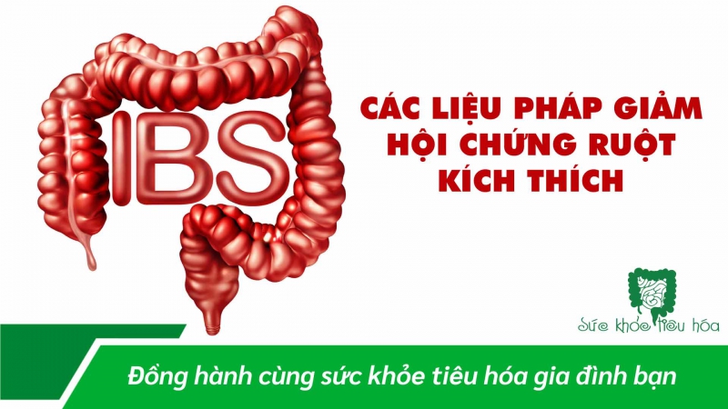 CÁC LIỆU PHÁP GIẢM HỘI CHỨNG RUỘT KÍCH THÍCH 