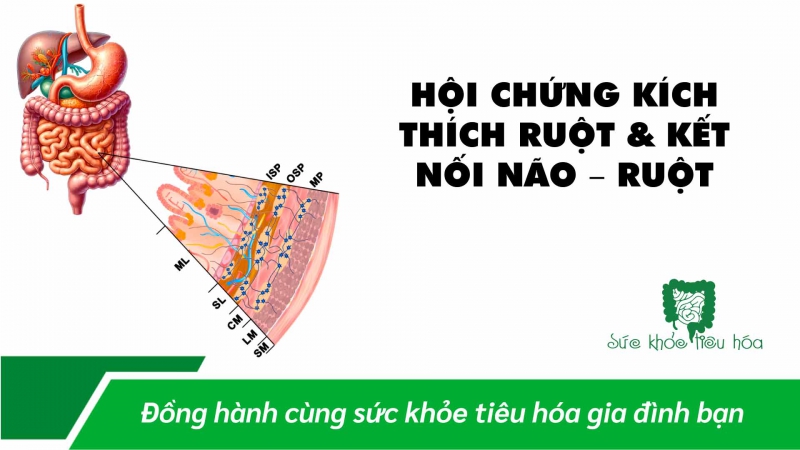 HỘI CHỨNG KÍCH THÍCH RUỘT & KẾT NỐI NÃO – RUỘT 