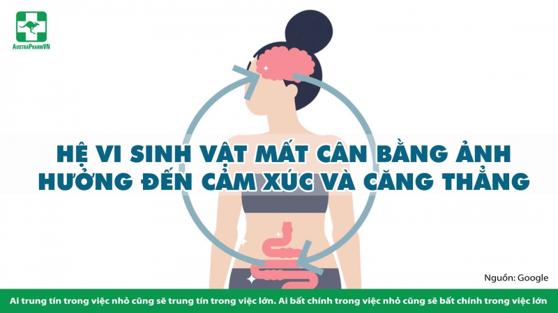 HỆ VI SINH RUỘT BỘ NÃO THỨ HAI TRONG BỤNG