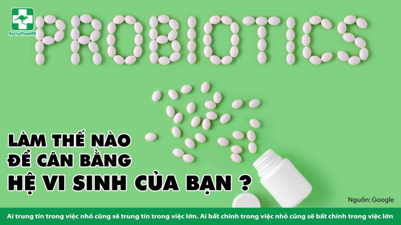 HỆ VI SINH RUỘT BỘ NÃO THỨ HAI TRONG BỤNG