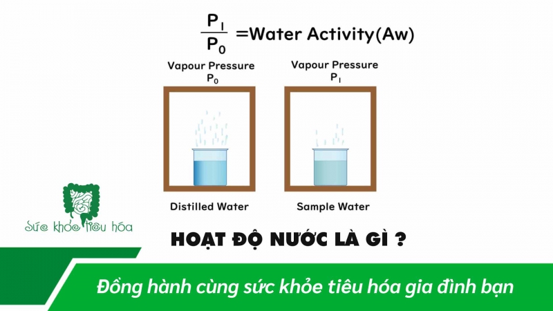HOẠT ĐỘ NƯỚC LIÊN HỆ VỚI SỰ PHÁT TRIỂN CỦA NẤM, MỐC, VI TRÙNG TRONG THỰC PHẨM NHƯ THẾ NÀO 