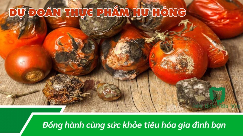 HOẠT ĐỘ NƯỚC LIÊN HỆ VỚI SỰ PHÁT TRIỂN CỦA NẤM, MỐC, VI TRÙNG TRONG THỰC PHẨM NHƯ THẾ NÀO 