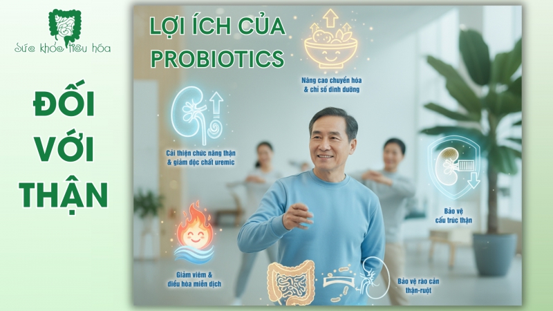 LỢI ÍCH CỦA PROBIOTICS ĐỐI VỚI THẬN