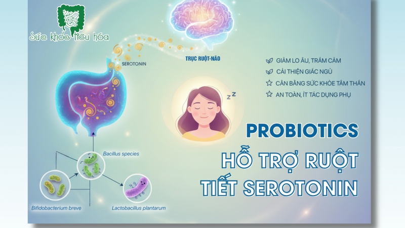 PROBIOTICS HỖ TRỢ RUỘT TIẾT SEROTONIN - HORMONE HẠNH PHÚC, GIÚP ĐIỀU HÒA SỨC KHỎE TÂM THẦN, GIẤC NGỦ
