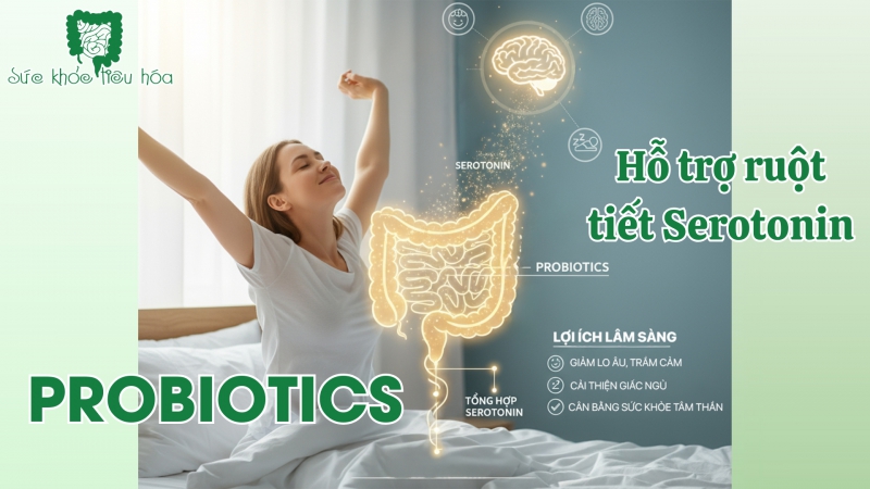PROBIOTICS HỖ TRỢ RUỘT TIẾT SEROTONIN - HORMONE HẠNH PHÚC, GIÚP ĐIỀU HÒA SỨC KHỎE TÂM THẦN, GIẤC NGỦ