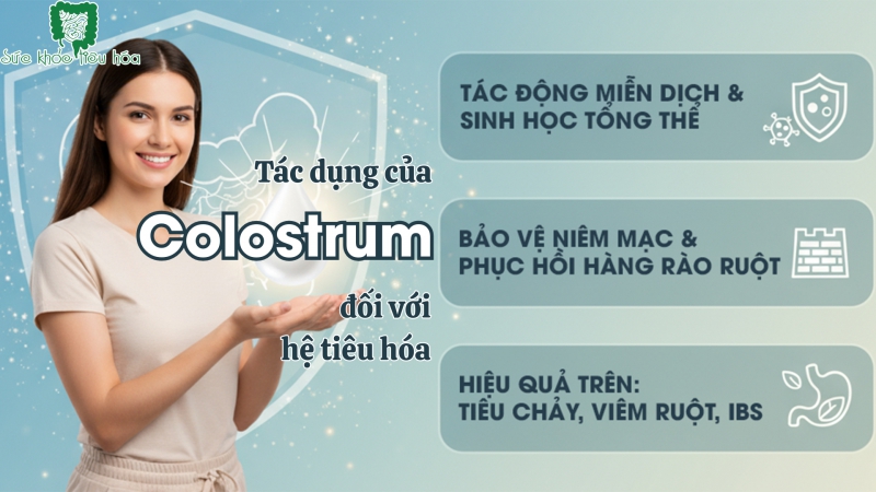 TÁC DỤNG CỦA COLOSTRUM ĐỐI VỚI HỆ TIÊU HÓA