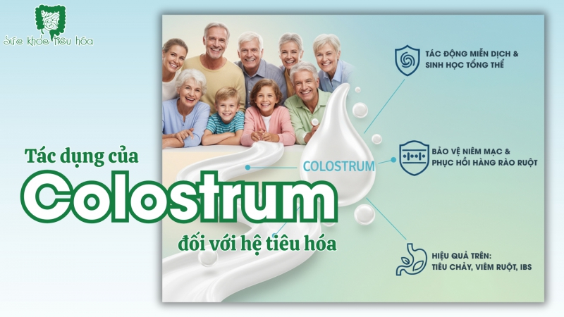 TÁC DỤNG CỦA COLOSTRUM ĐỐI VỚI HỆ TIÊU HÓA