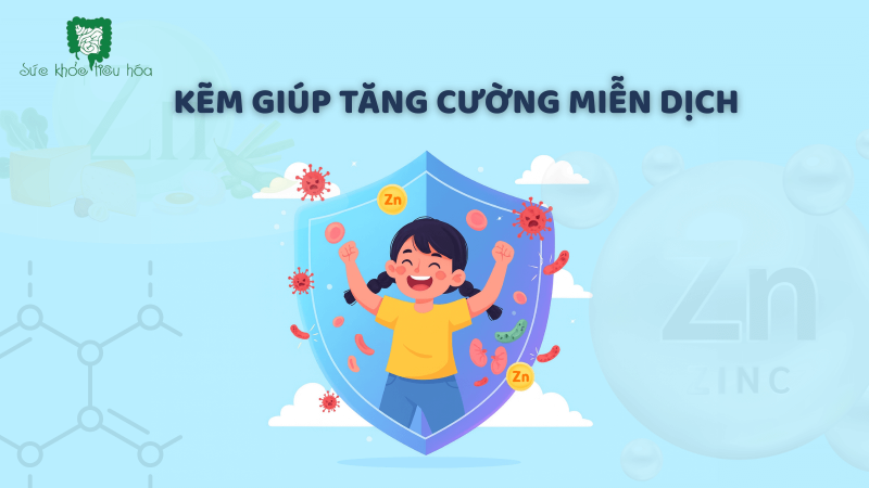 KẼM - KHOÁNG CHẤT TĂNG CHIỀU CAO, SỨC ĐỀ KHÁNG VÀ GIẢM TIÊU CHẢY Ở TRẺ EM