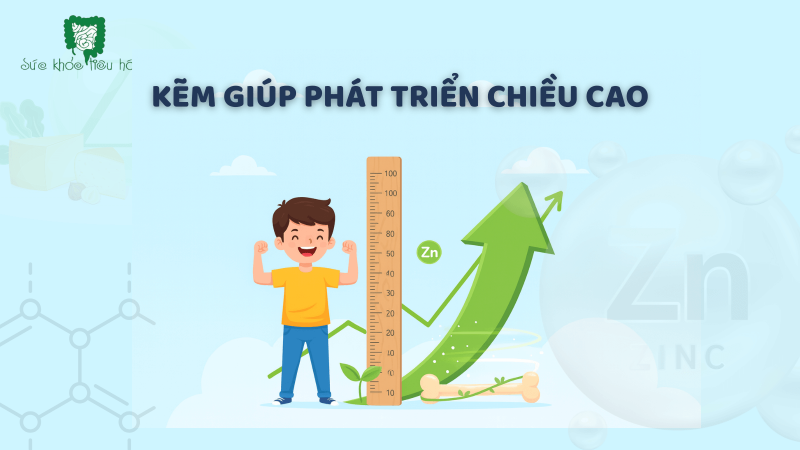 KẼM - KHOÁNG CHẤT TĂNG CHIỀU CAO, SỨC ĐỀ KHÁNG VÀ GIẢM TIÊU CHẢY Ở TRẺ EM