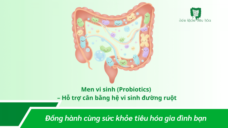 Men Vi Sinh – Sữa Non – Kẽm: Bộ Ba Hỗ Trợ Hệ Tiêu Hóa Và Dinh Dưỡng Ở Trẻ Em