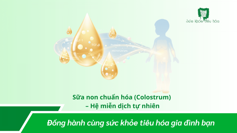 Men Vi Sinh – Sữa Non – Kẽm: Bộ Ba Hỗ Trợ Hệ Tiêu Hóa Và Dinh Dưỡng Ở Trẻ Em