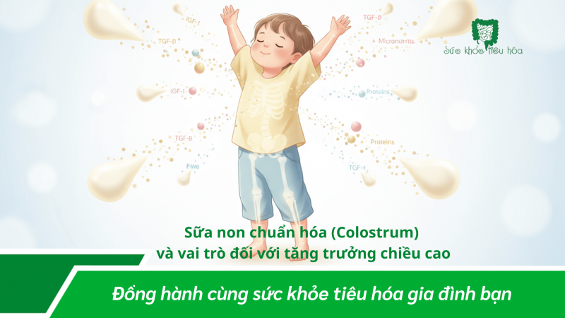 Men Vi Sinh – Sữa Non – Kẽm: Bộ Ba Hỗ Trợ Hệ Tiêu Hóa Và Dinh Dưỡng Ở Trẻ Em