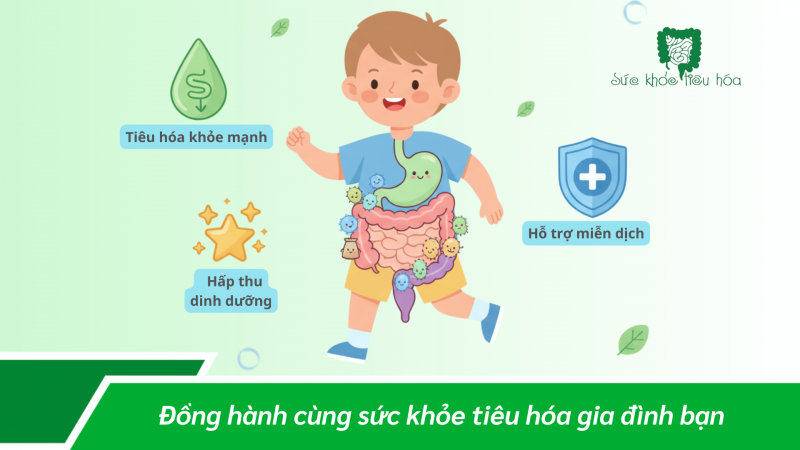 Men Vi Sinh – Sữa Non – Kẽm: Bộ Ba Hỗ Trợ Hệ Tiêu Hóa Và Dinh Dưỡng Ở Trẻ Em