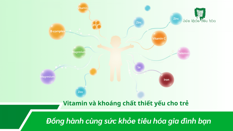 Men Vi Sinh – Sữa Non – Kẽm: Bộ Ba Hỗ Trợ Hệ Tiêu Hóa Và Dinh Dưỡng Ở Trẻ Em