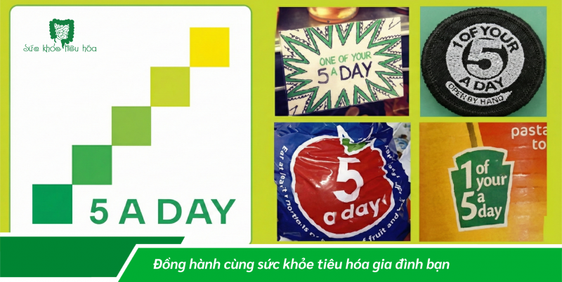 ĂN RAU XANH, TRÁI CÂY BAO NHIÊU THÌ ĐỦ?