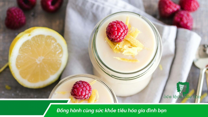 ĂN SỮA CHUA NHIỀU CÓ TỐT CHO HỆ TIÊU HÓA?