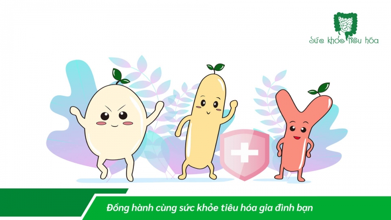 ĂN SỮA CHUA NHIỀU CÓ TỐT CHO HỆ TIÊU HÓA?