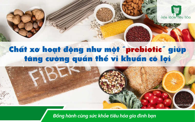 ĐÁNH MẤT HỆ VI SINH – CHÚNG TA CÓ THỂ ĐÃ MẤT MỘT ĐỒNG MINH RẤT XƯA NHƯ THẾ NÀO!
