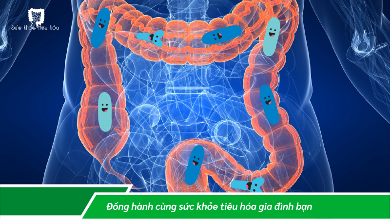 SẢN XUẤT TRUYỀN THỐNG THỰC PHẨM LÊN MEN LACTIC & QUI TRÌNH SẢN XUẤT HIỆN ĐẠI MEN VI SINH PROBIOTICS