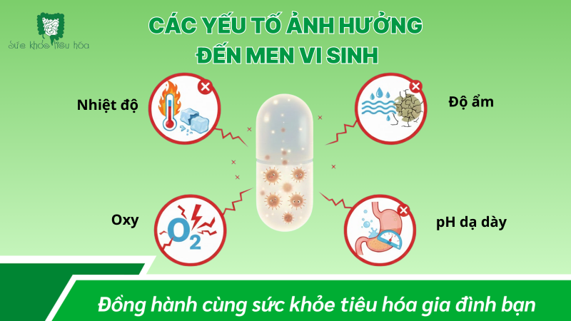 MÔI TRƯỜNG TỐT BẢO VỆ LỢI KHUẨN