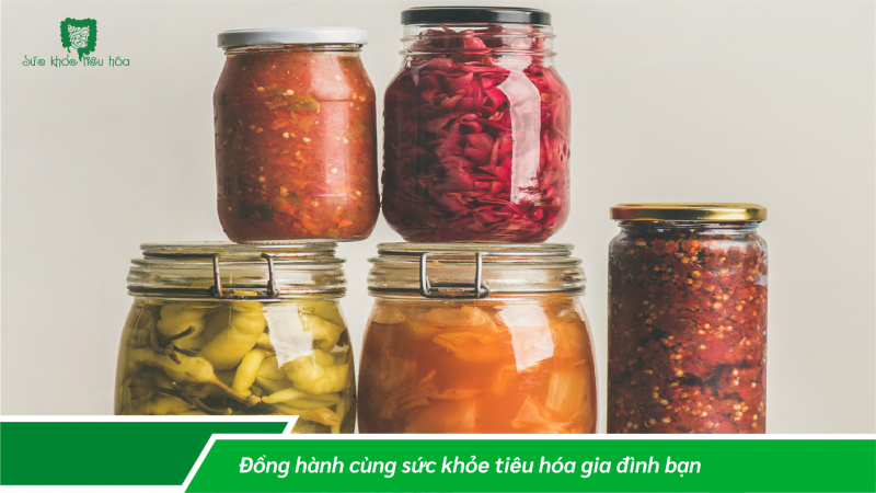 SẢN XUẤT TRUYỀN THỐNG THỰC PHẨM LÊN MEN LACTIC & QUI TRÌNH SẢN XUẤT HIỆN ĐẠI MEN VI SINH PROBIOTICS