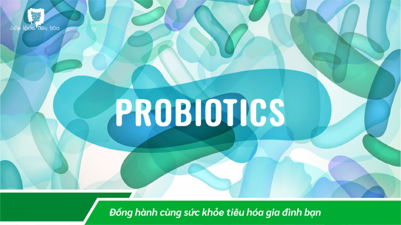 SẢN XUẤT TRUYỀN THỐNG THỰC PHẨM LÊN MEN LACTIC & QUI TRÌNH SẢN XUẤT HIỆN ĐẠI MEN VI SINH PROBIOTICS