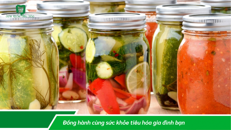 SẢN XUẤT TRUYỀN THỐNG THỰC PHẨM LÊN MEN LACTIC & QUI TRÌNH SẢN XUẤT HIỆN ĐẠI MEN VI SINH PROBIOTICS