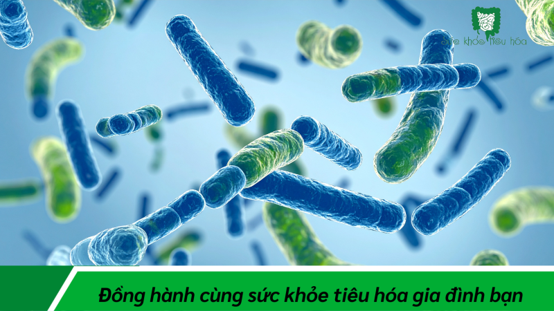 PROBIOTICS CHẤT LƯỢNG VÀ TIÊU CHÍ ĐÁNH GIÁ TỐI ƯU