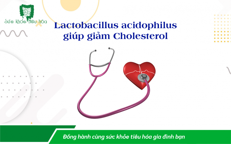 9 LỢI ÍCH CHO SỨC KHỎE CỦA LACTOBACILLUS ACIDOPHILUS