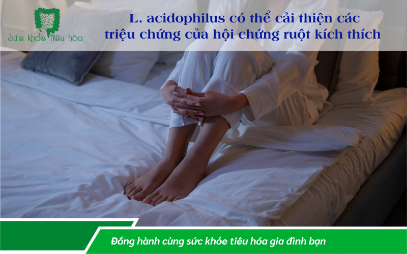 9 LỢI ÍCH CHO SỨC KHỎE CỦA LACTOBACILLUS ACIDOPHILUS