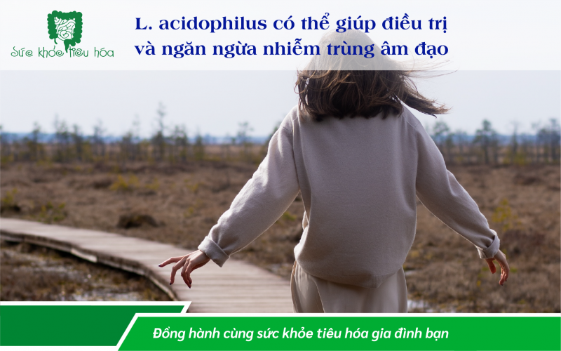 9 LỢI ÍCH CHO SỨC KHỎE CỦA LACTOBACILLUS ACIDOPHILUS