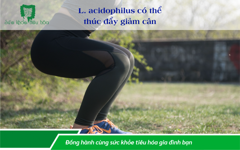 9 LỢI ÍCH CHO SỨC KHỎE CỦA LACTOBACILLUS ACIDOPHILUS