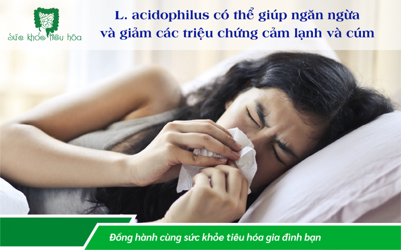 9 LỢI ÍCH CHO SỨC KHỎE CỦA LACTOBACILLUS ACIDOPHILUS