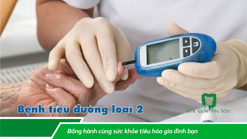 AKKERMANSIA MUCINIPHILA: MỘT VI KHUẨN QUAN TRỌNG TRONG HỆ VI SINH RUỘT HỖ TRỢ SỨC KHỎE TỐT