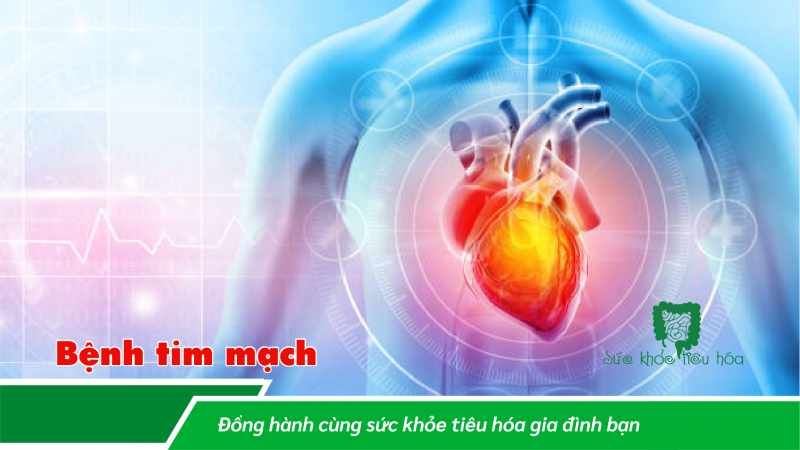 AKKERMANSIA MUCINIPHILA: MỘT VI KHUẨN QUAN TRỌNG TRONG HỆ VI SINH RUỘT HỖ TRỢ SỨC KHỎE TỐT