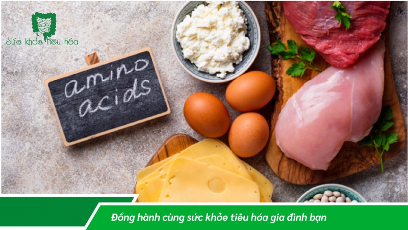 ACID VALINE CẦN THIẾT CHO CƠ THỂ NHƯ THẾ NÀO?