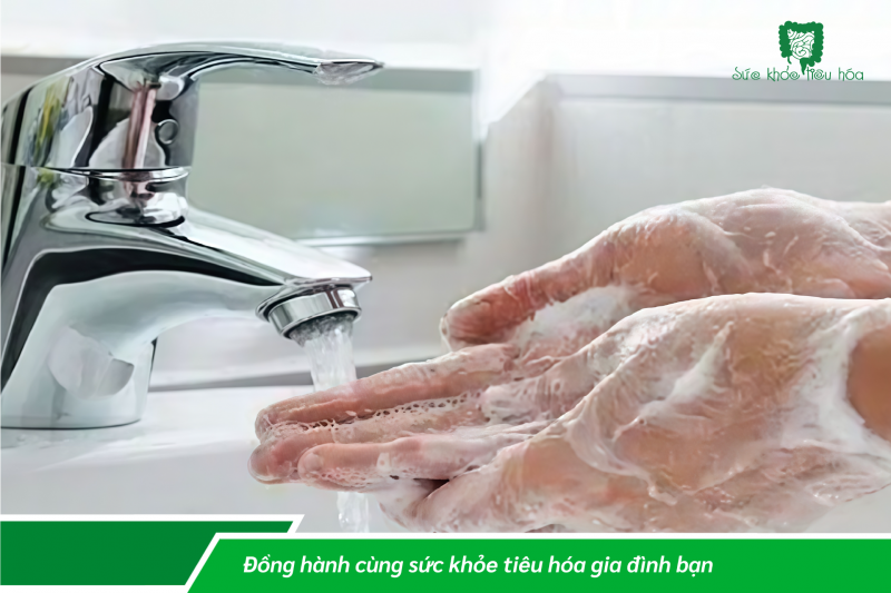 Bảo vệ hệ tiêu hóa dân văn phòng