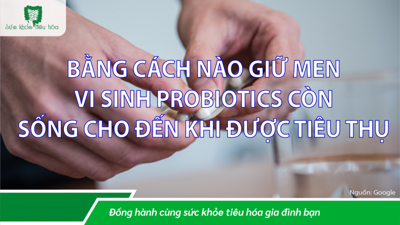 BẰNG CÁCH NÀO GIỮ MEN VI SINH PROBIOTICS CÒN SỐNG CHO ĐẾN KHI ĐƯỢC TIÊU THỤ