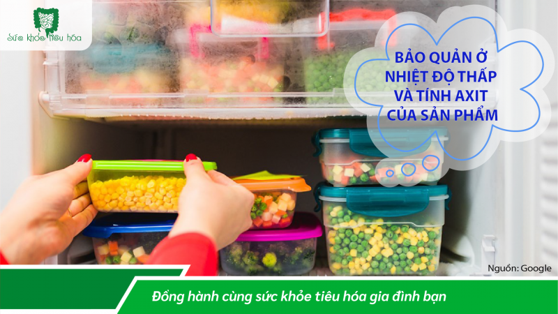 BẰNG CÁCH NÀO GIỮ MEN VI SINH PROBIOTICS CÒN SỐNG CHO ĐẾN KHI ĐƯỢC TIÊU THỤ