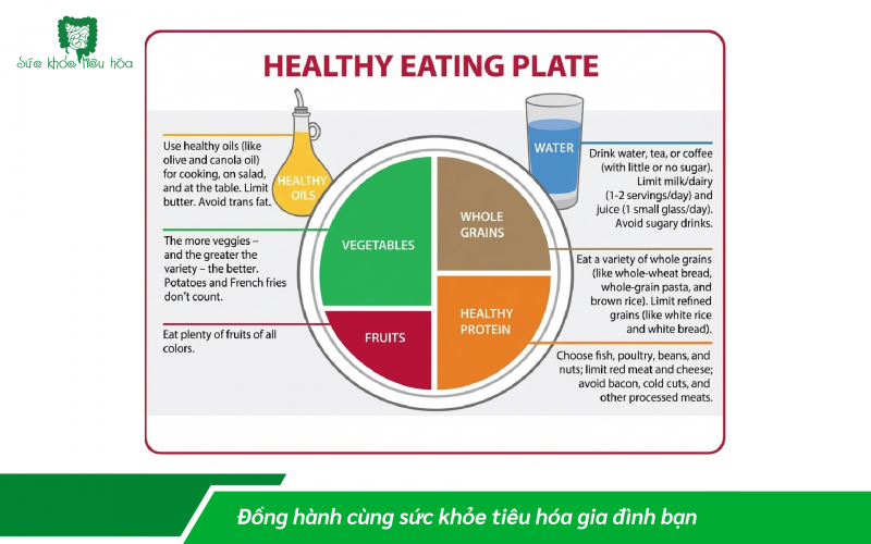 BỔ SUNG ĐẠM ĐÚNG CÁCH