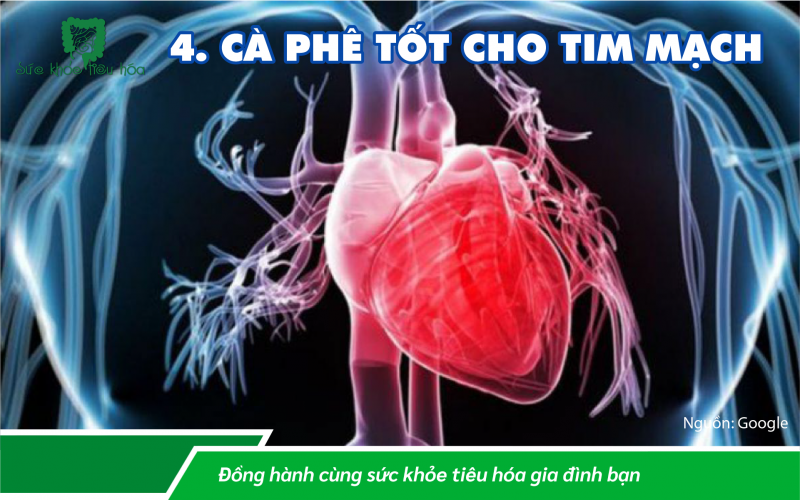 CÀ PHÊ CHỨA CHẤT CHỐNG OXI HÓA, MƯỜI LÝ DO TỐT ĐỂ UỐNG CÀ PHÊ