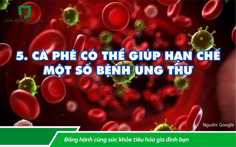 CÀ PHÊ CHỨA CHẤT CHỐNG OXI HÓA, MƯỜI LÝ DO TỐT ĐỂ UỐNG CÀ PHÊ