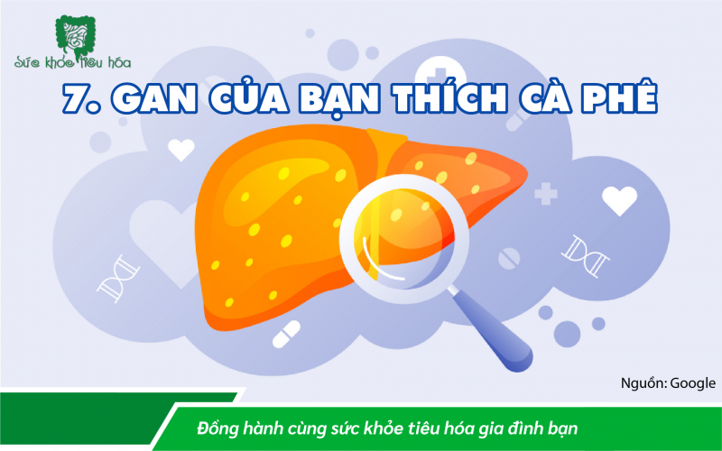CÀ PHÊ CHỨA CHẤT CHỐNG OXI HÓA, MƯỜI LÝ DO TỐT ĐỂ UỐNG CÀ PHÊ