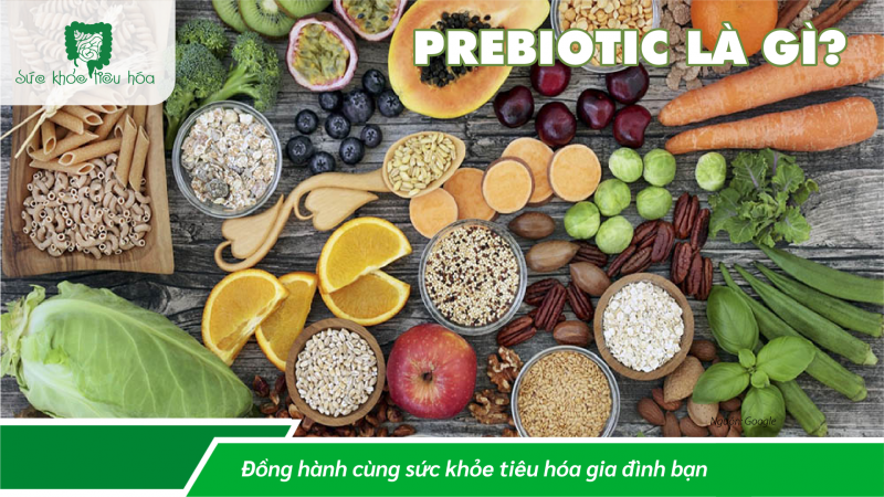CÁC POLYPHENOL THỰC VẬT TÁC DỤNG NHƯ PREBIOTICS HỖ TRỢ HỆ VI SINH RUỘT
