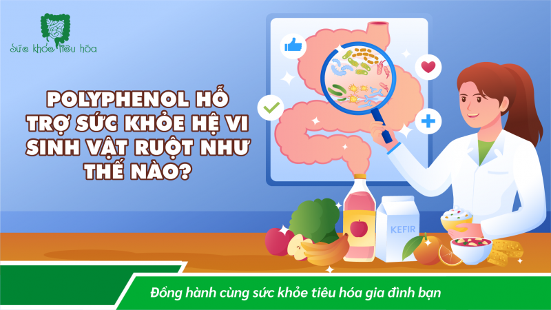 CÁC POLYPHENOL THỰC VẬT TÁC DỤNG NHƯ PREBIOTICS HỖ TRỢ HỆ VI SINH RUỘT