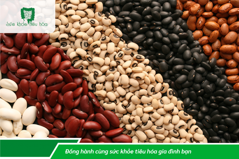 CÁC THỰC PHẨM CẦN TRÁNH ĐỂ KHÔNG BỊ ĐẦY HƠI, CHƯỚNG BỤNG