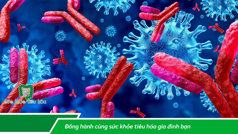 CÁC YẾU TỐ ẢNH HƯỞNG ĐẾN SỰ SỐNG CỦA MEN VI SINH PROBIOTICS TRONG SẢN PHẨM & TRONG CƠ THỂ