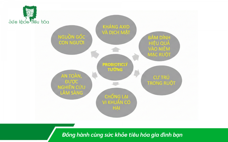 CÁCH LỰA CHỌN MEN VI SINH